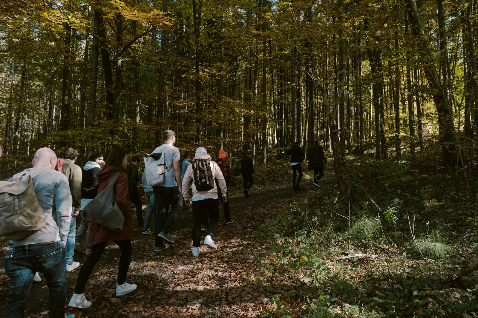 Bulleit Indian Summer 2017 — Spaziergang durch den herbstlichen Buchenwald