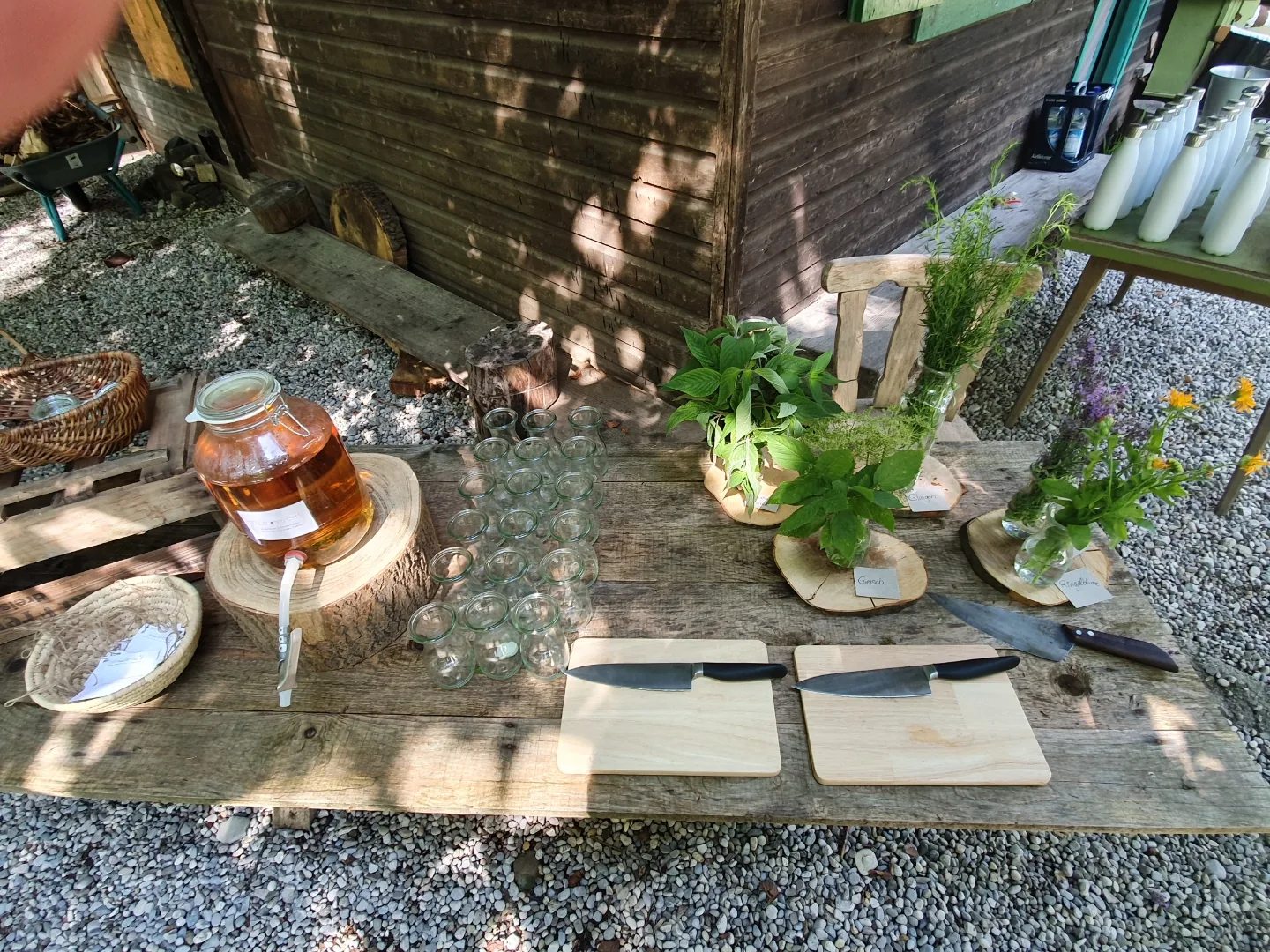 Vild Vuchs Workshop-Tisch mit Kombucha-Ballon und Wildkräuter-Töpfchen