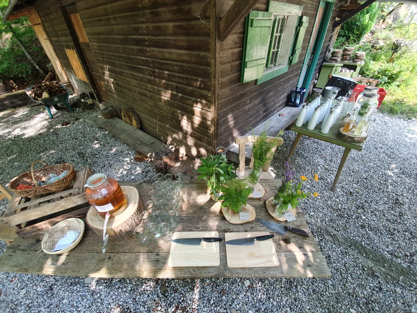 Vild Vuchs Wildkräuter- und Fermentations-Workshop bei Projekt Draussen — Holztisch mit Kombucha-Ballon, beschrifteten Wildkräuter-Töpfchen und Einmach-Gläsern