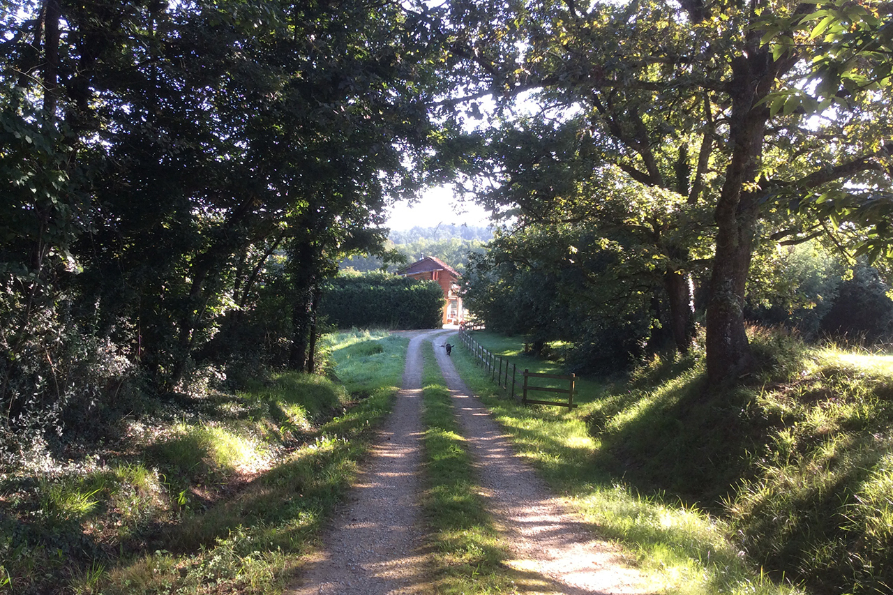 Le Bétet — Auffahrt und Domaine aus der Luft