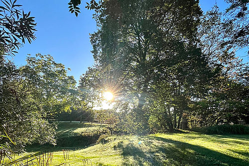 Orchard — Grüne Weite