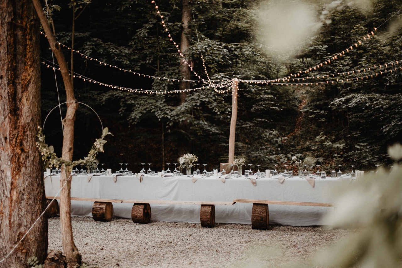 Walddinner — lange Tafel im Mischwald mit Lichterketten zwischen den Bäumen