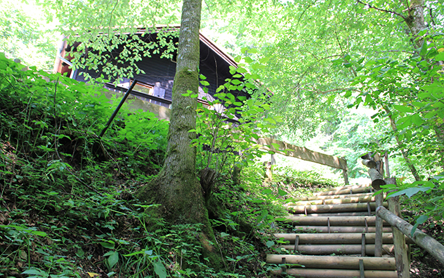 Hochufer — Treppen zum Wasser