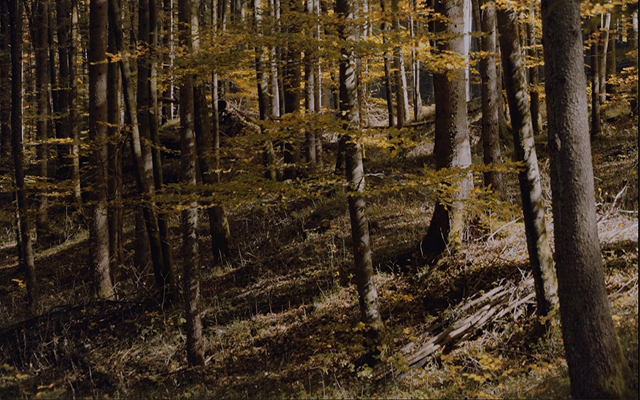 Isartal — Mischwald rund um die Klause